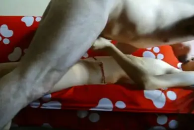 Live ABG Bispak Check In Hotel Bintang Lima